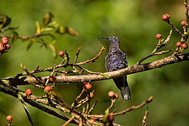 索尼确认《GT赛车7》单人模式需要联网